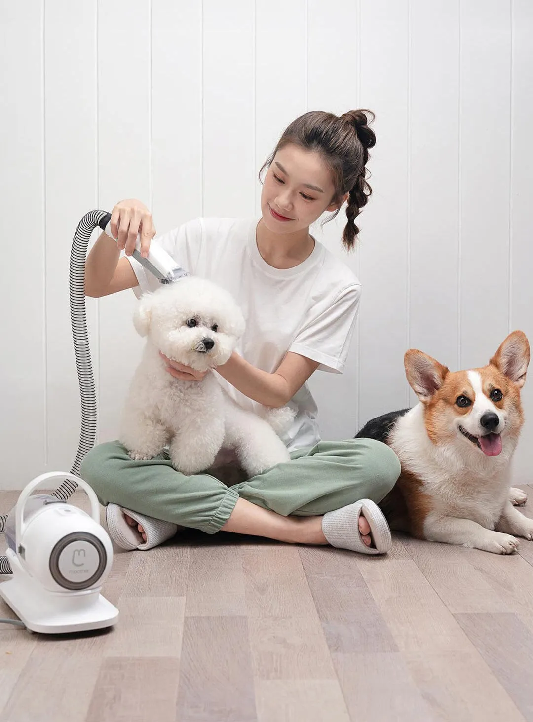 6in1 Electric Pet Grooming Vacuum Cleaner