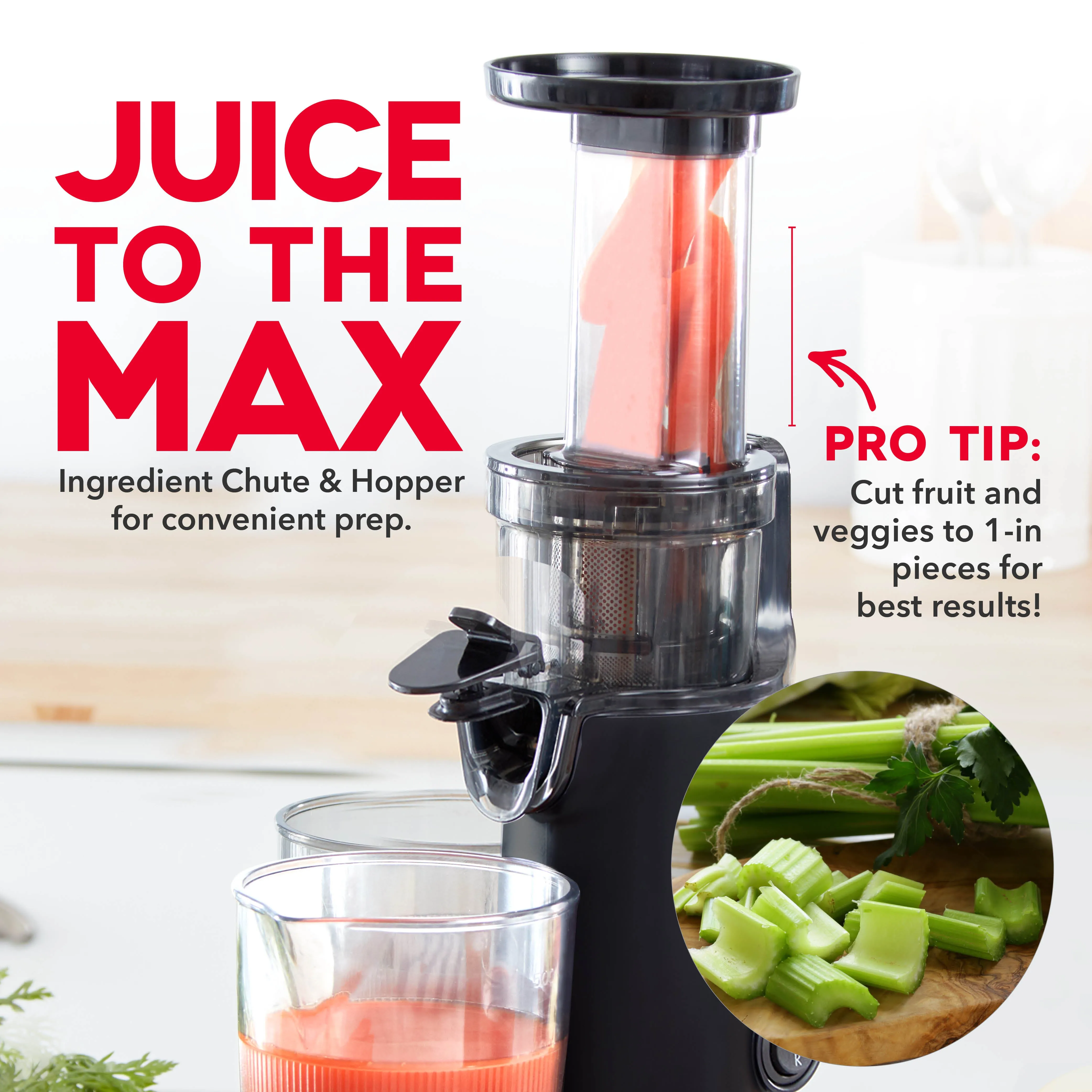 Compact Cold Press Power Juicer