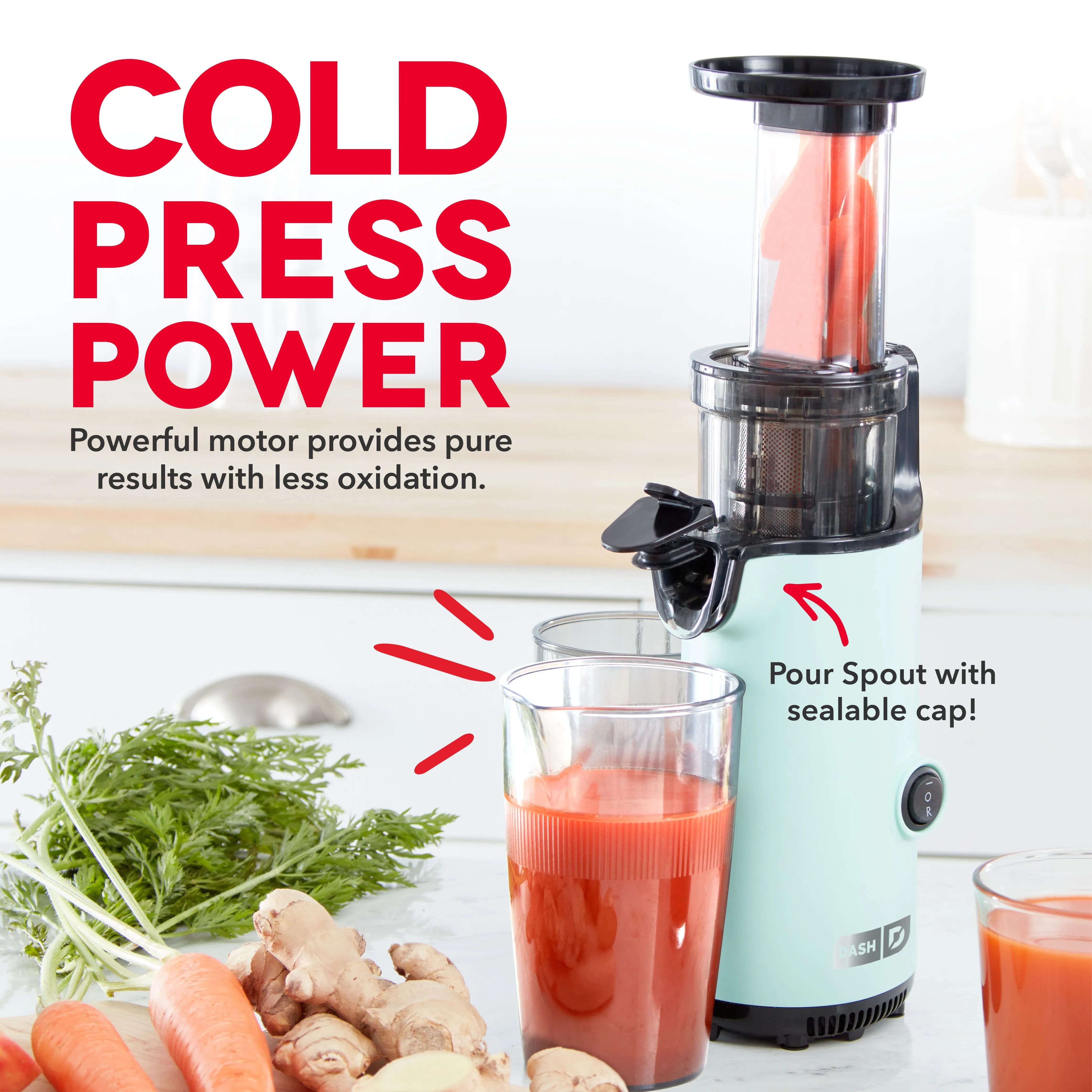 Compact Cold Press Power Juicer