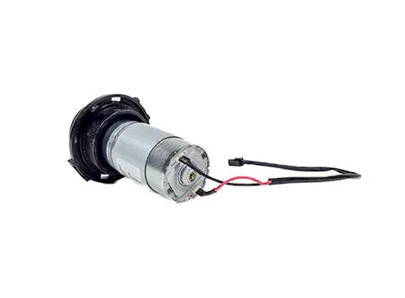 Dolphin Drive Motor 9991210-ASSY