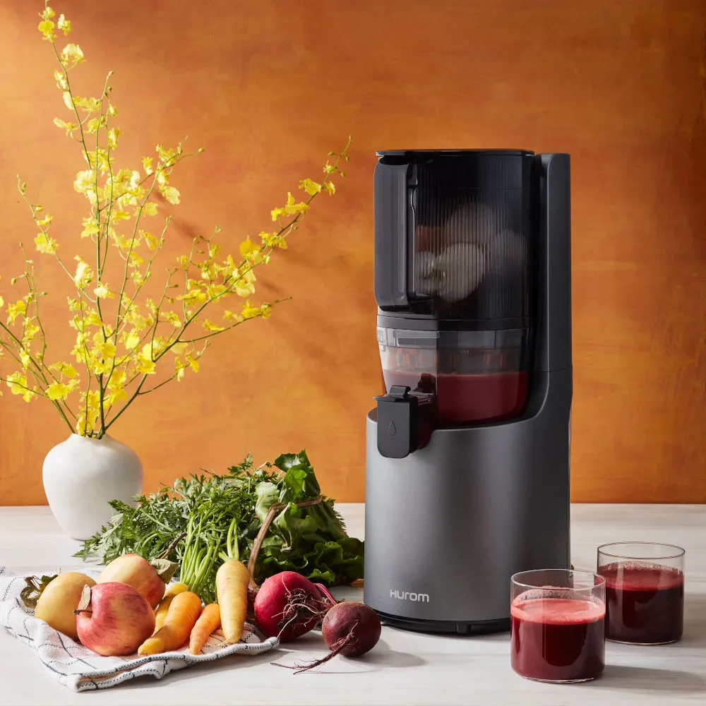 H200 Easy Clean Slow Juicer