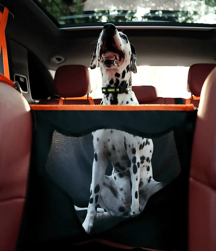 Julibee's Anti-Anxiety & Car-Sickness Car Dog Hammock