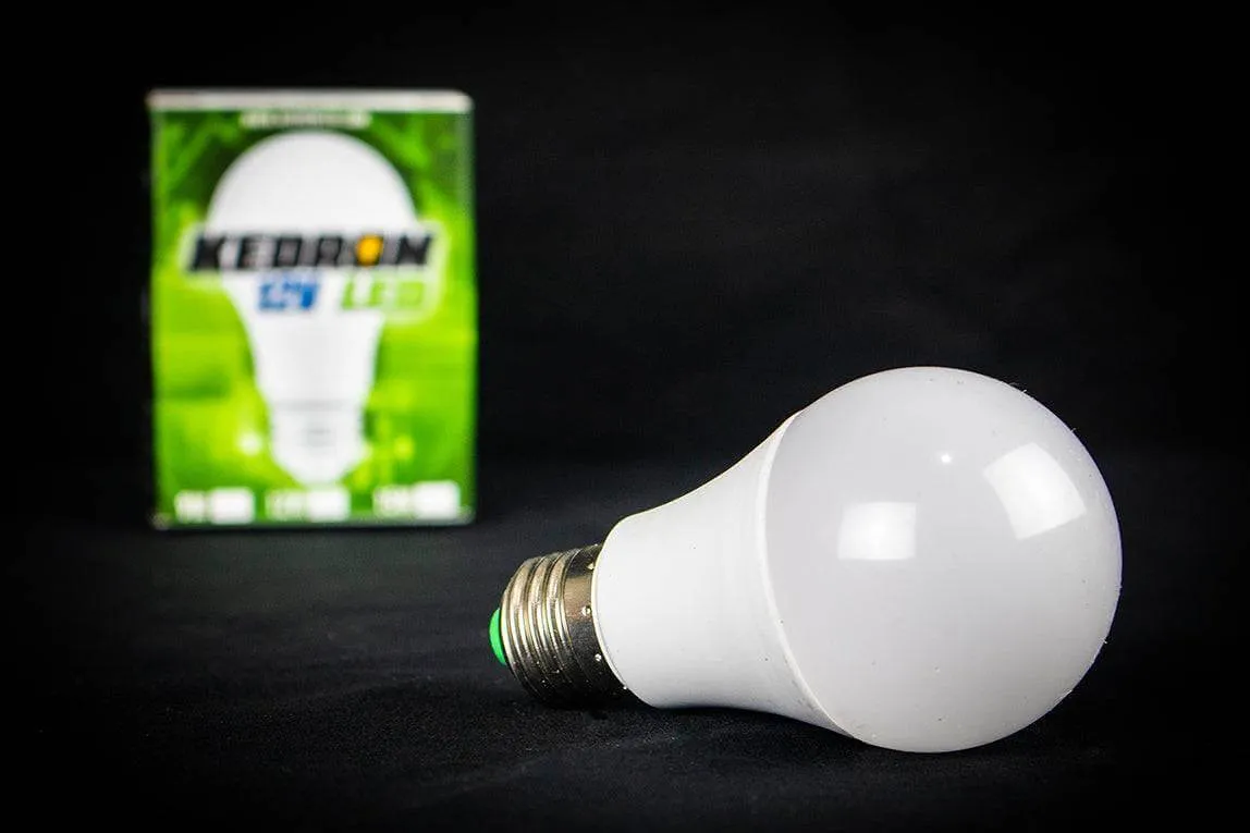 Kedron 15 Watt 12V DC LED Bulb