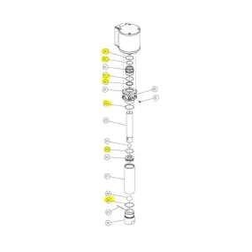 Lincoln Seal Kit For V406000000