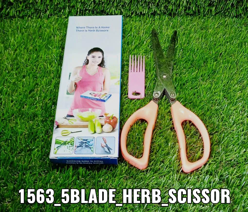 Multifunction Vegetable Stainless Steel Herbs Scissor with 5 Blades