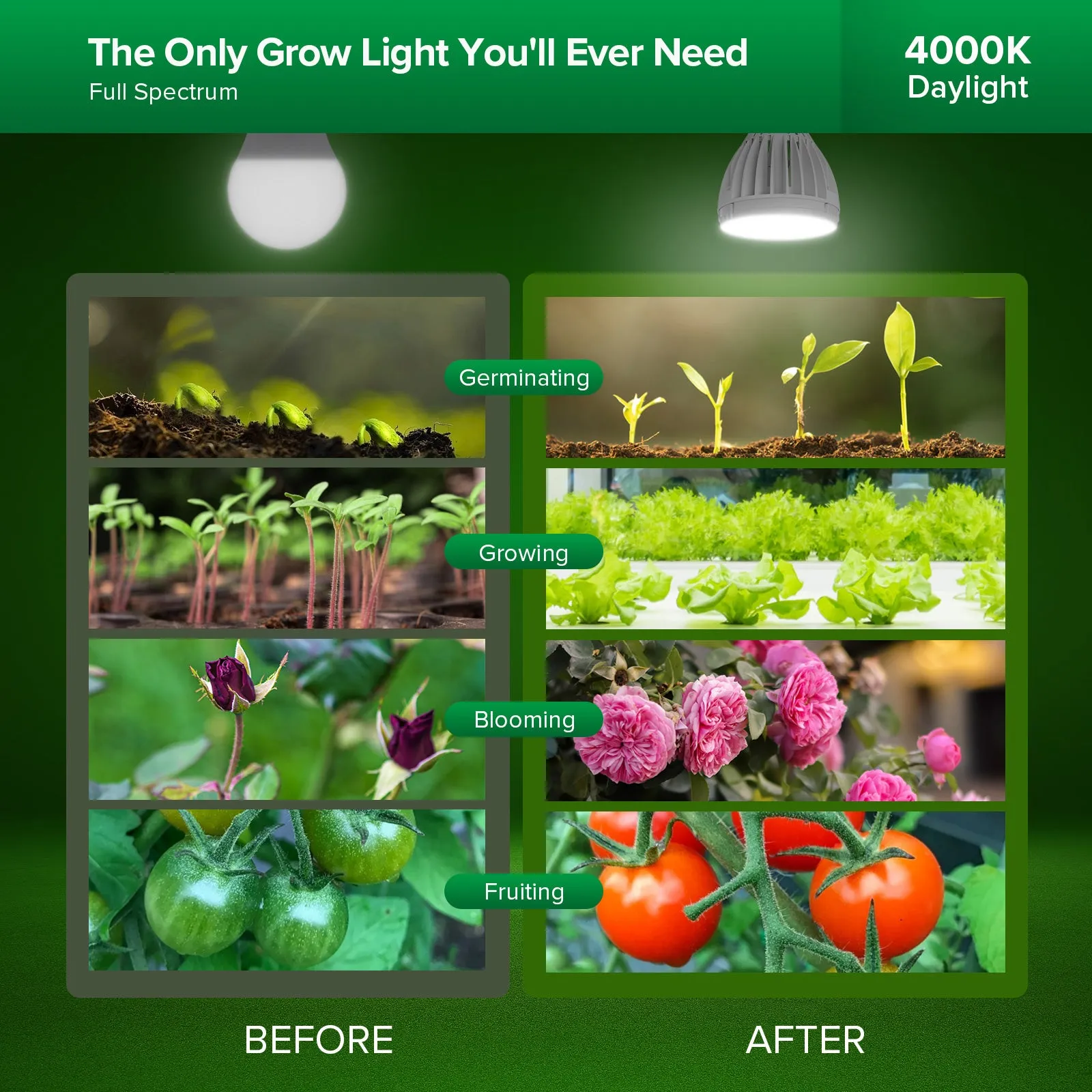 PAR25 24W LED Grow Light Bulb for Seeds and Greens(US ONLY)